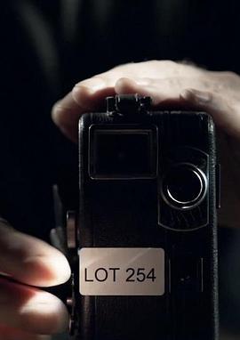Lot254相机