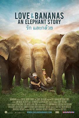爱与香蕉：大象的故事