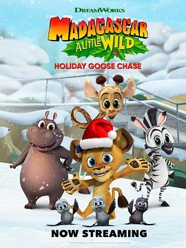 Madagascar:ALittleWild–HolidayGooseChase