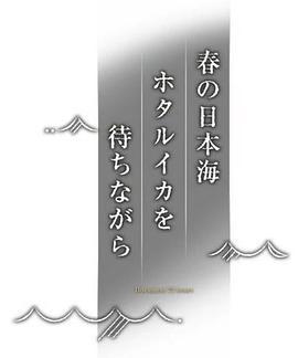 纪实72小时春天的日本海等待荧光乌贼