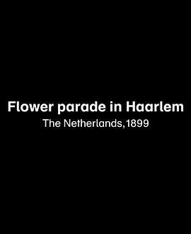 FlowerParadeinHaarlem