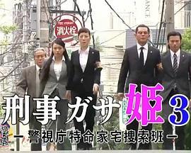 刑事ガサ公主3警视厅特命家宅捜索班